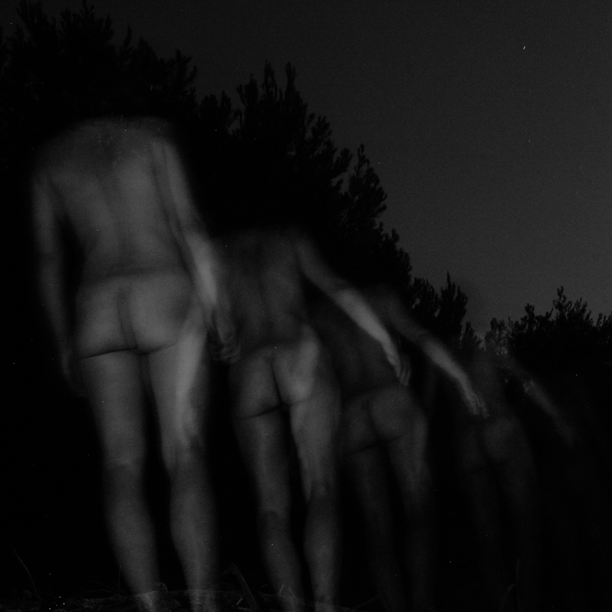 Nu descendant un escalier